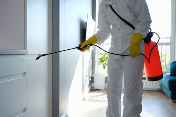 Best Commercial Mold Removal  in Clayton, NM