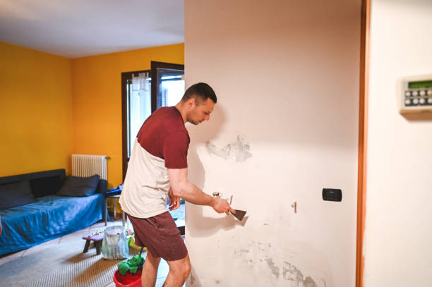 Best Water Damage Restoration  in Clayton, NM
